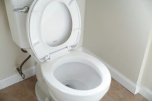 What Not to Flush Into Your Septic Tank