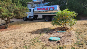 Septic Drainfield Landscaping Tips for Western Washington.