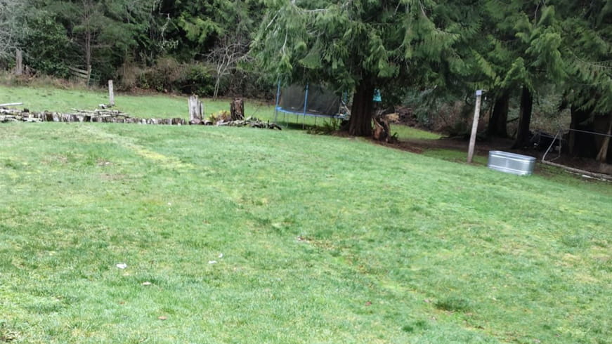 Grass Covered Septic Drainfield