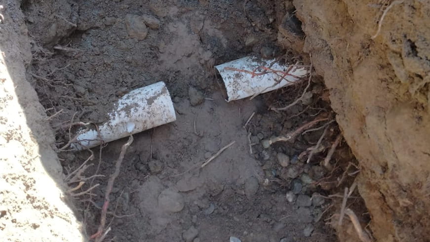 Roots penetrating a septic leech line