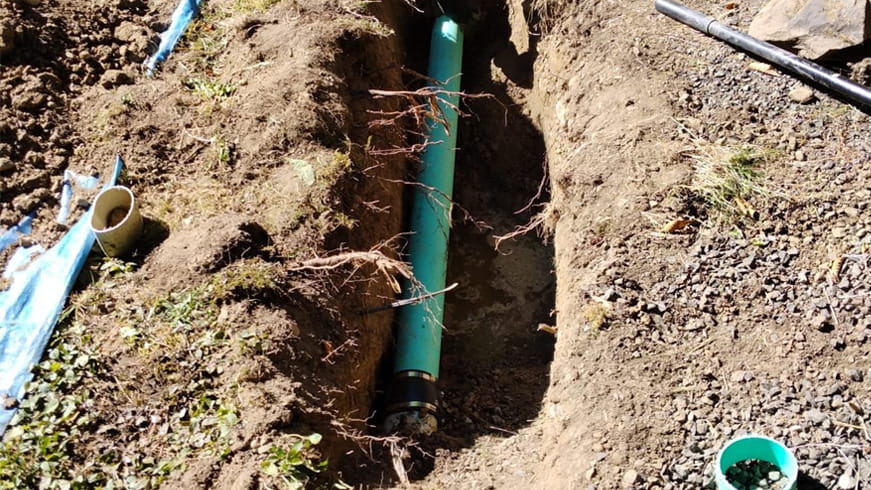 Roots encroaching over a septic transfer line